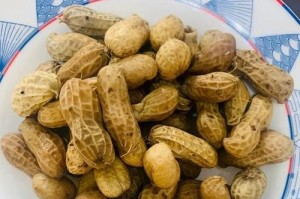 冷冻花生详解（家庭必备技巧，保留新鲜美味的秘密）