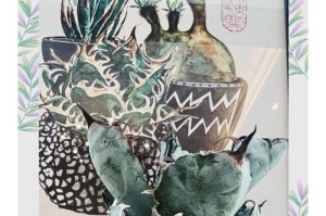 龙舌兰种植收益丰厚，投资者需谨慎把握（龙舌兰产业发展潜力巨大，但需考虑市场需求和成本效益）