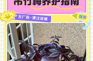 吊竹兰叶子耷拉的原因及治疗方法（探究吊竹兰叶子耷拉的原因，提供针对性的治疗方法）