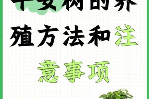 平安树的挽救之道（以平安树怎么挽救为主题的探讨与建议）