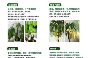 发财之道（探索财富的增值与传承，为未来积蓄财力）