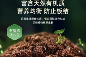 兰花土可以种多肉吗？（兰花土的特点及适用范围）