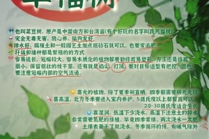 以幸福树提根繁殖的技巧和方法（培育幸福树的关键）