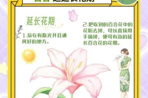 冬季百合花的科学浇水方法（百合花浇水的频率和水量是关键）