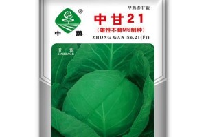 甘蓝种植技巧（提高甘蓝种植成功率的关键一步）