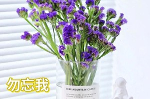勿忘我的养殖与养护技巧（打造美丽的勿忘我花园，做勿忘我的专属守护者）