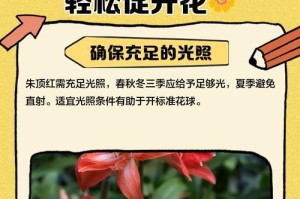 如何科学养护朱顶红秋季花卉？（朱顶红秋季怎样才能茂盛绽放？）