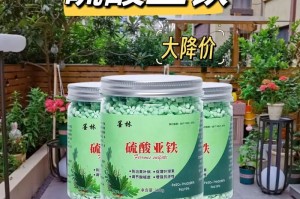 探秘喜酸植物的神奇世界（喜酸的种类、特征与用途）