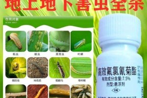 如何用药管控介壳虫？（以柿子树介壳虫为例）