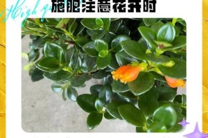 如何应对金鱼花掉叶子问题（金鱼花养护技巧，解决掉叶子的困扰）