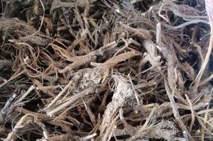 哪里产的柴胡最好？（探讨柴胡产地的优劣，了解各地柴胡的质量差异。）