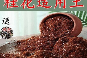 适合什么土壤的桂花树种植？（如何选择适合桂花树生长的土壤？）