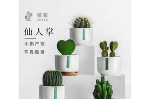 如何正确养护植物花草（掌握关键技巧，打造绿意盎然的花园）