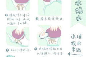 水仙花叶子过长怎么办？园艺小技巧帮你解决！（水仙花叶子过长的原因与处理方法，让你的花园更美丽！）