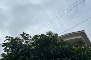 门前芒果树的种植方法及注意事项（适宜门前种植的芒果品种和芒果的栽培技巧）