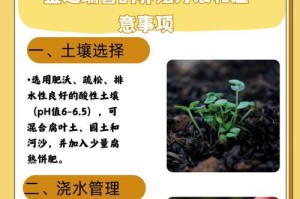瑞香换盆的步骤和注意事项（让你的瑞香长得更茂盛）