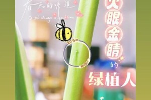 如何正确浇水以龟甲芋？（关键步骤和技巧分享，让你的以龟甲芋茁壮成长！）