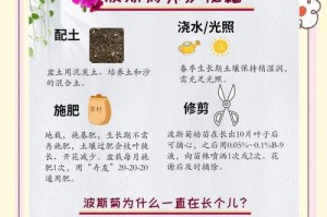 紫罗兰的冬季养护之道（详细介绍如何正确养护冬季紫罗兰）