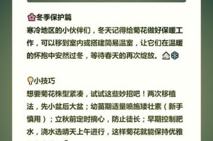 菊花败了剪掉后的养护指南（保养技巧、喂养方式和病虫防治详解）