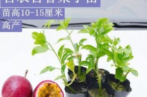 湖南种植百香果的前景与价值（百香果——生长快、抗逆性强、营养丰富的热带水果）