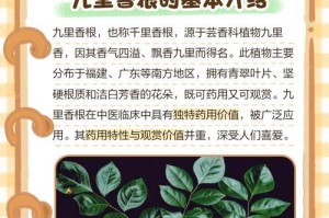 九里香能否活着没有根？（探索九里香根系的作用）