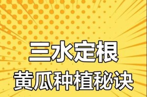 黄瓜苗的浇水技巧（如何掌握黄瓜苗的浇水频率与量）