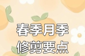 后院美化与修剪（创意修剪点缀生活，让后院焕发活力）