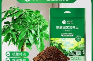 如何配制发财树的土壤以促进生长（了解关键配方，让您的发财树茁壮成长）