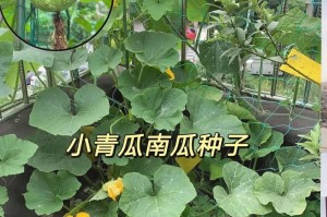 南瓜籽能直接种吗？（探究南瓜籽的种植方法与技巧。）