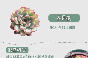 《如何成功养护鲁氏石莲》（养护鲁氏石莲的关键是什么？）