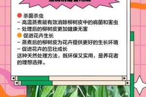 用柳树条种花的方法与技巧（发掘柳树条的独特魅力，为花草增添生机）