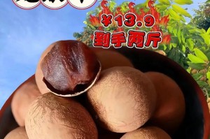 寻味中华美食——哪里的桂圆干最好吃？（探寻桂圆干的故乡、品尝正宗美味）