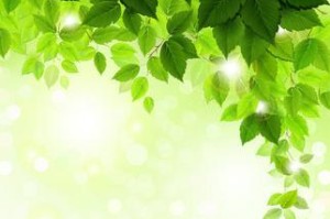 绿叶变色之奇妙魔法（探索叶子颜色变化的秘密，以及将绿叶变为其他色彩的方法）