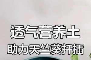 天竺葵扦插后的浇水技巧（掌握正确浇水方式，让天竺葵茁壮成长）