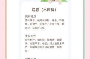 迎春花的秋季养护之道（秋季如何正确养护迎春花，让它绽放更美的花朵）