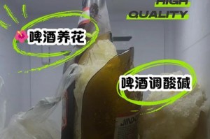 怎样解决因啤酒浇绿萝臭味的问题（掌握正确的方法与）