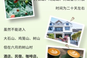 苏州杨梅上市时间预测（揭秘苏州杨梅成熟上市的过程）