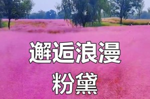 粉黛乱子草的护理方法（打造美丽花园的秘诀）