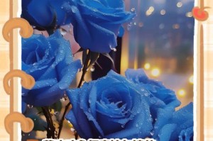 奇迹之花的花语剖析（探寻神奇的花朵传递的信息）