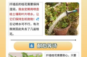 桂花开花后的科学施肥方法（优化营养，促进桂花健康生长）