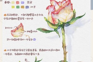 如何正确修剪玫瑰的枝条（玫瑰修枝指南，轻松打造美丽花园）