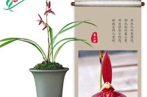 秋季兰花上盆的正确方法（轻松掌握秋季兰花上盆的技巧，为植株健康成长打下基础）