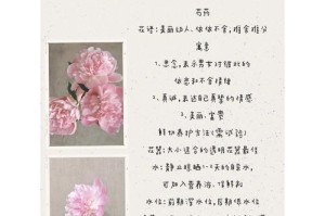 芍药开花时间与频率，探究为何引起困扰（探究芍药开花时间、花期及开花频率的影响因素）