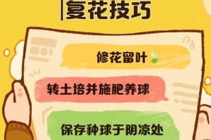 风信子的谢了及其处理方法（如何正确处理风信子的谢了问题）