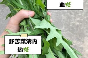 苦菜开花了还能吃吗？（苦菜开花影响食用吗？如何食用苦菜花？）