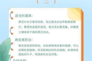 室内菊花的冬季养殖方法（室内菊花在冬天的精心照顾，让它绽放更美丽）