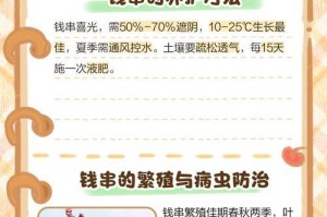 钱串叶片太小如何解决？（让叶片变得更大更有效）
