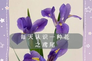 鸢尾花开放的奥秘（探索鸢尾花开放的科学原理与美学价值）
