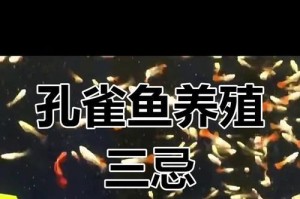孔雀养殖知识详解（了解孔雀的养殖方法和注意事项，让养殖更加顺利）