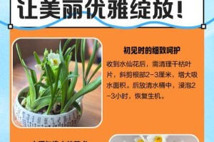 水仙花修剪指南（打造美丽水仙花园林，关注修剪细节）